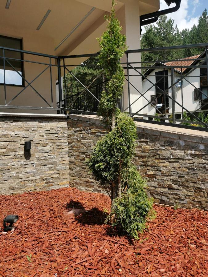 Apartman Stefanovic Vila Darija Lux Zlatibor Exteriör bild