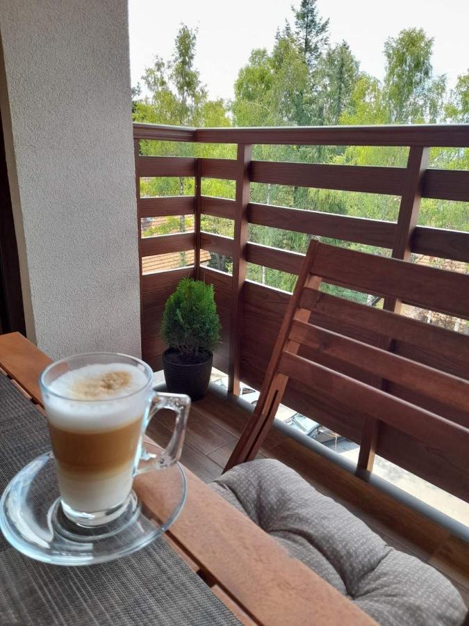 Apartman Stefanovic Vila Darija Lux Zlatibor Exteriör bild